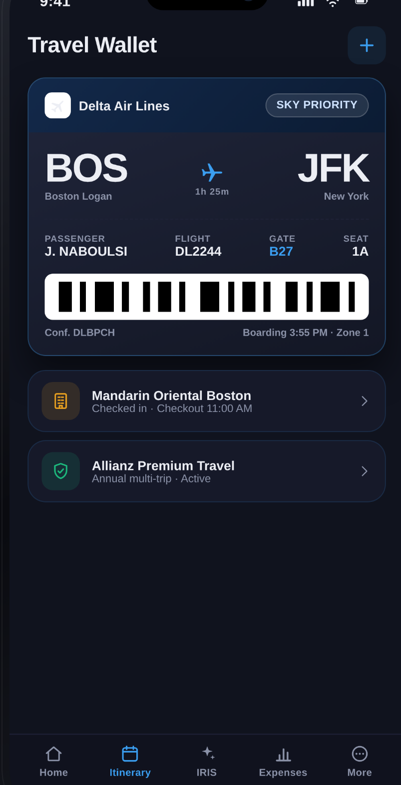 Travel Wallet